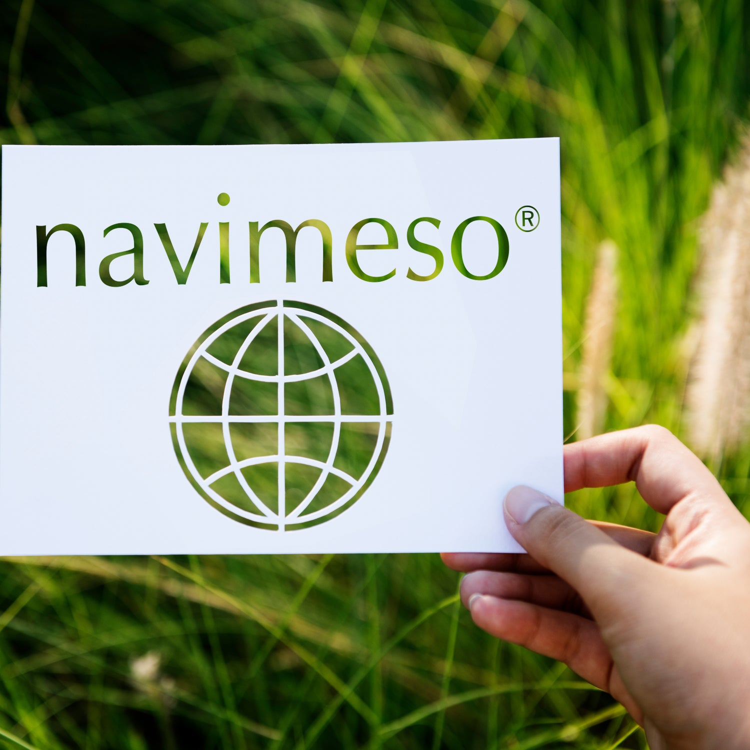 mission navimeso